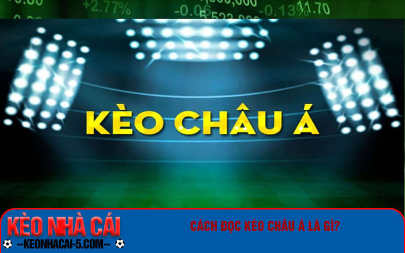Kèo Châu Á - Cách đọc kèo châu á chi tiết và chuẩn xác 1 Cách đọc kèo châu Á là gì?