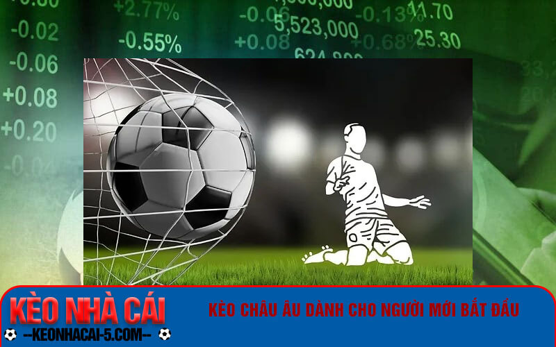 Kèo Châu Âu - Cách đọc kèo Châu Âu cho người mới bắt đầu 3 Cách tính toán tiền thắng khi chơi kèo Châu Âu
