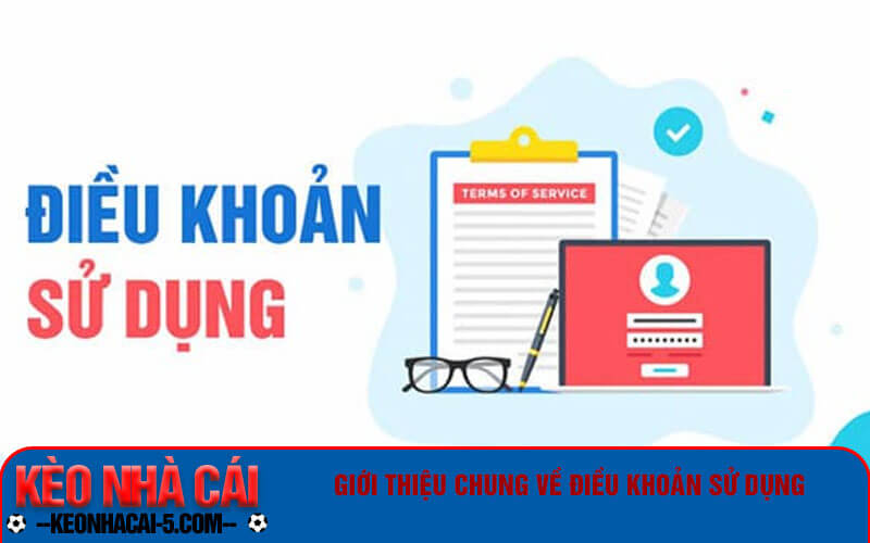 Giới thiệu chung về điều khoản sử dụng