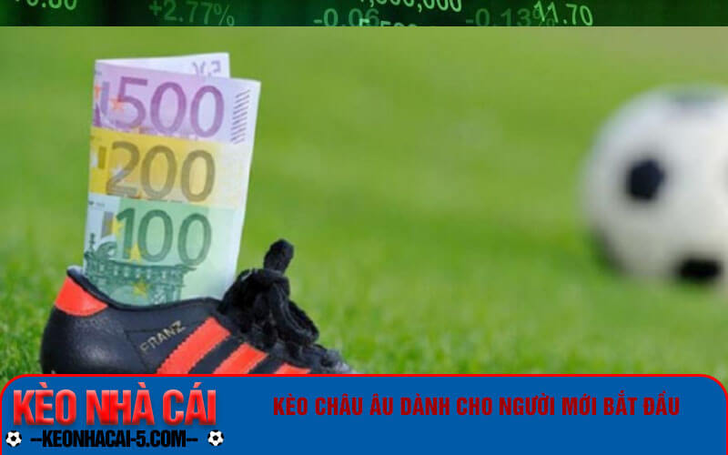 Kèo Châu Âu - Cách đọc kèo Châu Âu cho người mới bắt đầu 2 Kèo Châu Âu dành cho người mới bắt đầu