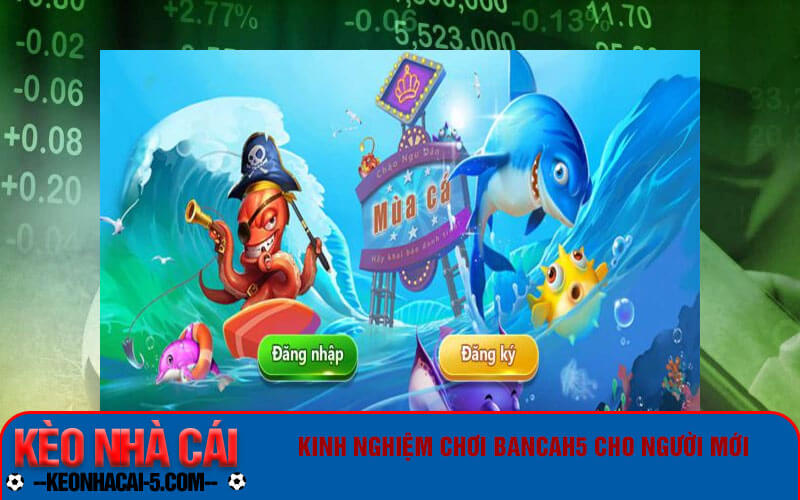 Kinh nghiệm chơi Bancah5 cho người mới