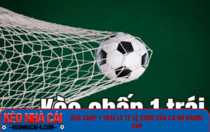 Kèo chấp 1 trái là tỷ lệ cược của cá độ Handicap