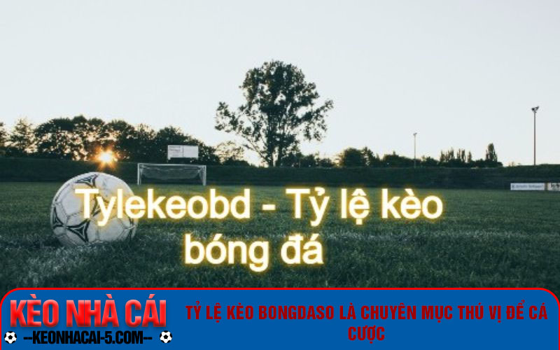 Tỷ Lệ Kèo Bongdaso - Bong Da So Dữ Liệu 66 Trực Tuyến 1 Tỷ lệ kèo bongdaso là chuyên mục thú vị để cá cược