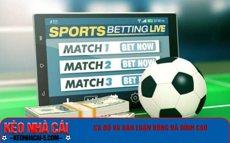 Top Diễn Đàn Cá Độ Bóng Đá - Trang Cá Cược Bóng Đá 2024 2 Cá độ và bàn luận bóng đá đỉnh cao
