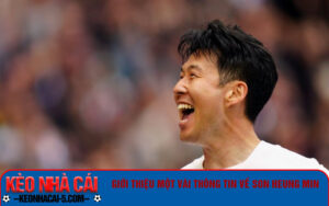 Giới thiệu một vài thông tin về Son Heung Min