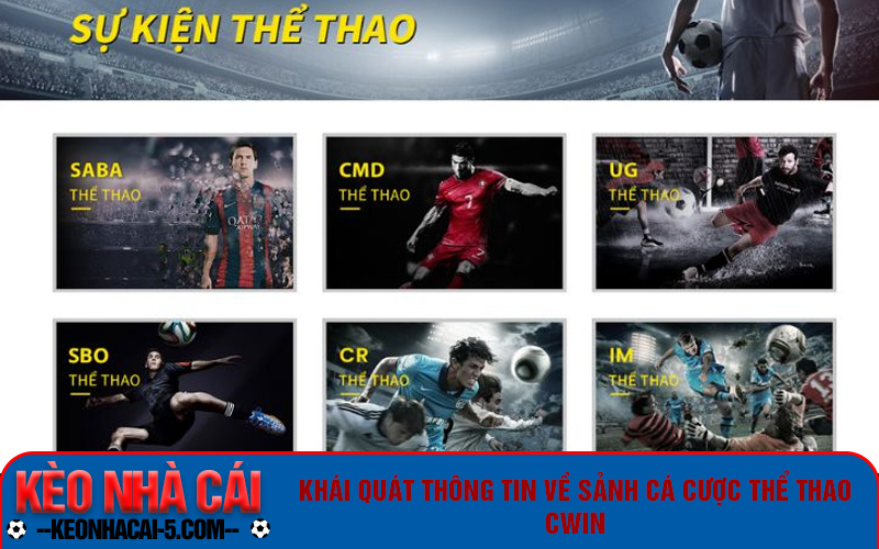 Thể thao là điểm dừng chân của nhiều người
