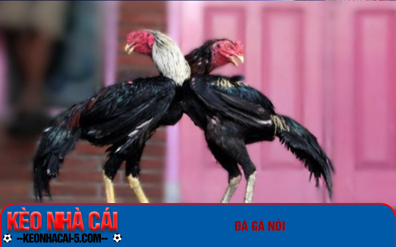 Đá Gà Ws168 - Giải Trí Đỉnh Cao, Kiếm Tiền Thả Ga 2 Các loại hình đá gà phổ biến tại WS168