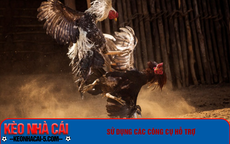 Đá Gà Ws168 - Giải Trí Đỉnh Cao, Kiếm Tiền Thả Ga 3 Sử dụng các công cụ hỗ trợ