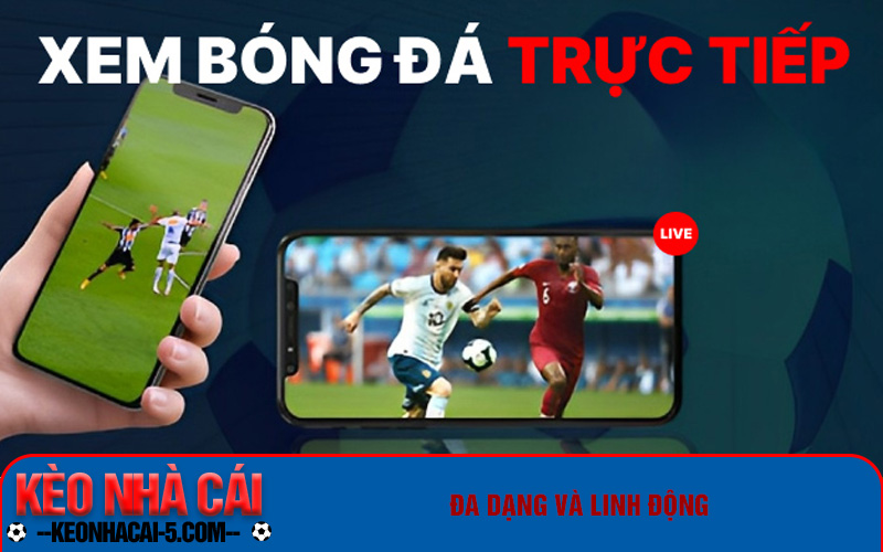 Lợi ích mà Rakhoi TV mang đến cho người dùng