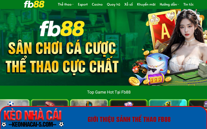 Tìm Hiểu Sảnh Thể Thao Fb88 Chi Tiết Nhất Cùng Keonhacai 1 Giới thiệu sảnh thể thao fb88