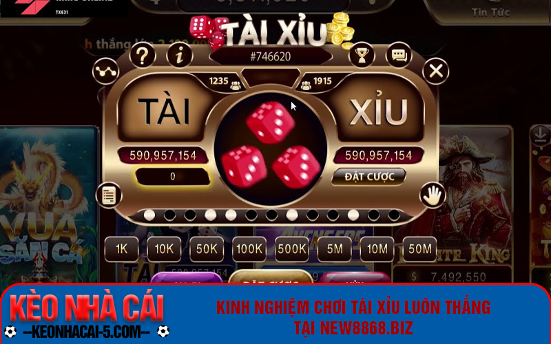 Kinh nghiệm chơi tài xỉu luôn thắng tại New8868.biz