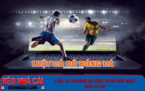 Tìm hiểu luật trước khi bắt đầu tham gia cá cược