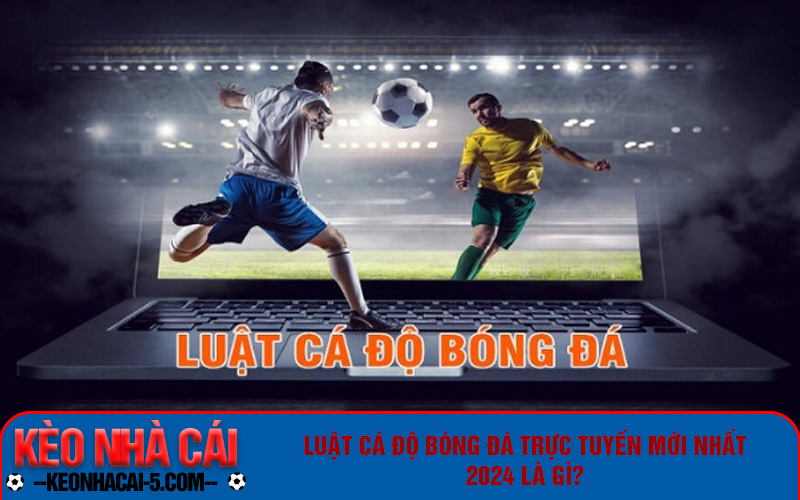 Tìm hiểu luật trước khi bắt đầu tham gia cá cược
