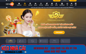 New8868.biz - Sân chơi tài xỉu uy tín hàng đầu Việt Nam