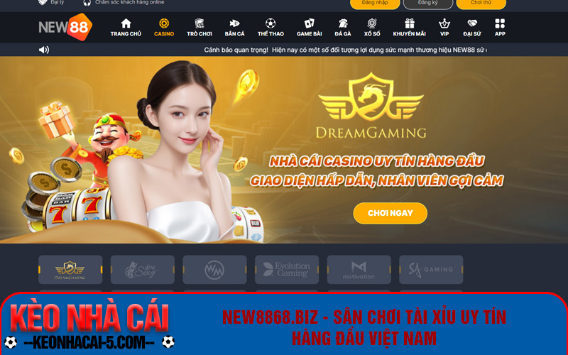New8868.biz - Sân chơi tài xỉu uy tín hàng đầu Việt Nam