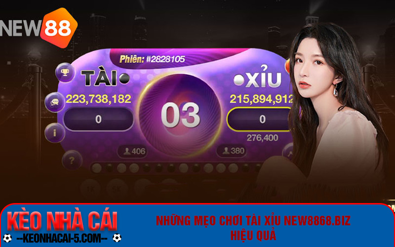 Những mẹo chơi tài xỉu New8868.biz hiệu quả