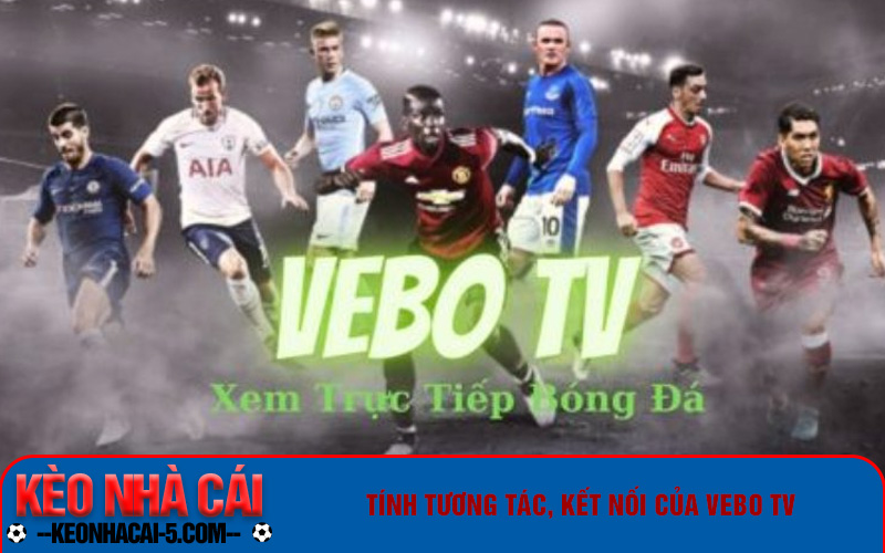 Tính tương tác, kết nối của Vebo