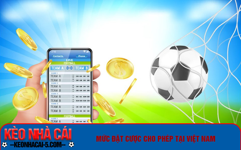 Cá Độ Bóng Đá Việt Nam Như Thế Nào Là Hợp Pháp? 3 Mức đặt cược cho phép tại Việt Nam