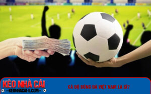 Cá độ bóng đá việt nam là gì?