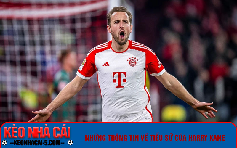 Tiểu Sử Harry Kane - Thành Tích Sự Nghiệp Sân Cỏ Đỉnh Cao 1 Những thông tin về tiểu sử Harry Kane
