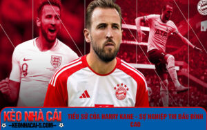 Tiểu sử Harry Kane - Sự nghiệp thi đấu đỉnh cao