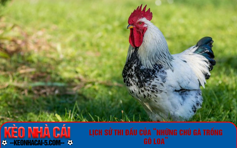 Những Chú Gà Trống Gô Loa - Đội Tuyển Bóng Đá Quốc Gia Pháp 2 Lịch sử thi đấu của “những chú gà trống gô loa”