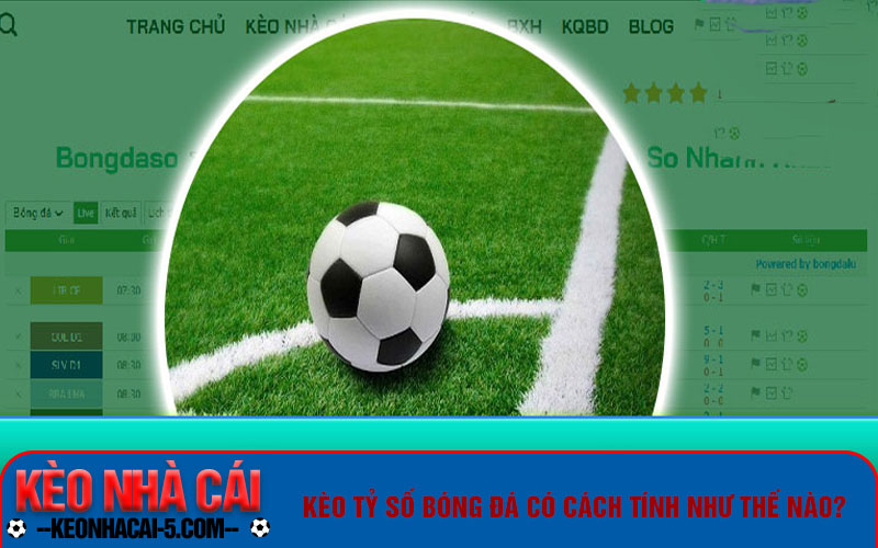 Tỷ Lệ Bóng Đá Tv Và Các Loại Kèo Cược Thông Dụng Hiện Nay 3 Kèo tỷ số bóng đá có cách tính như thế nào?