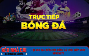 Bạn có thể theo dõi bóng đá trực tiếp qua đâu?