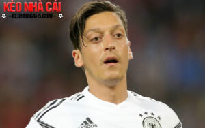 Tiểu sử Mesut Ozil - Thành tích sân cỏ đáng ngưỡng mộ