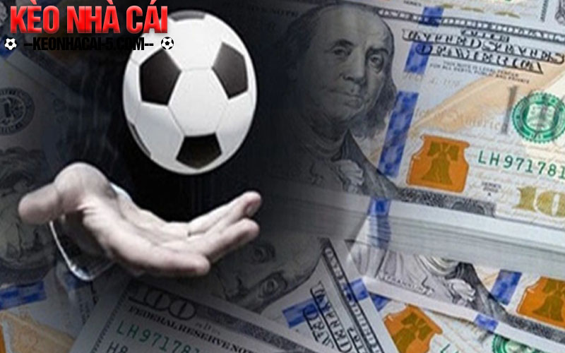 Công Thức Cá Độ Bóng Đá Chuẩn Chỉ Từ Chuyên Gia 3 Công thức cá độ bóng đá Surebets