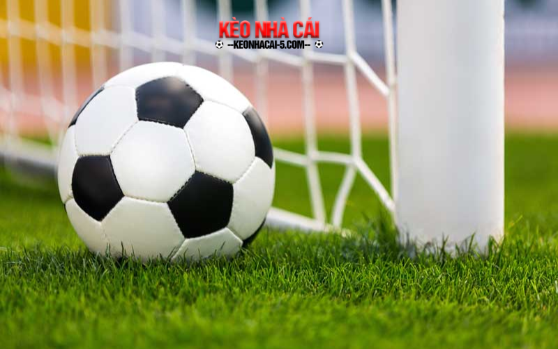 Kinh nghiệm cá cược thể thao fun88 không thua