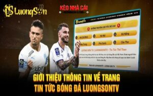 Thông tin cơ bản về trang web LuongSon TV