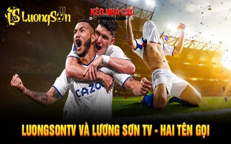 Một số thông tin về chuyên trang LuongSonTV