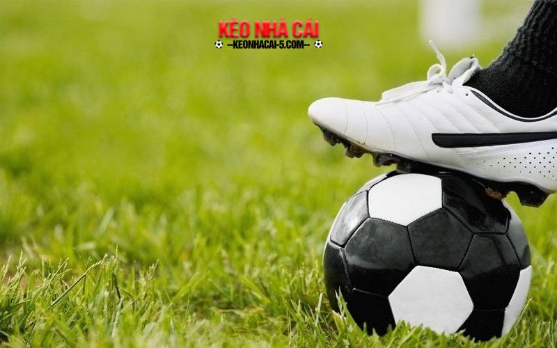 Trang Cá Độ Bóng Đá, Cá Cược Bóng Đá Nổi Bật 2024 2 Tính năng vượt trội chỉ có tại trang web uy tín hàng đầu