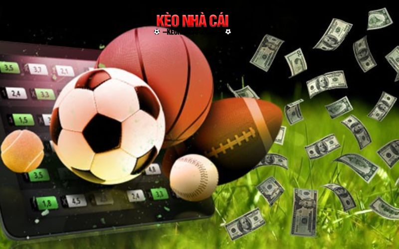 Trangcadobongda.Lol: Đam Mê Trở Thành Hiện Thực Tại Trang Cá Độ Bóng Đá 2 Những tiện ích hấp dẫn có trên trang ca do bong da