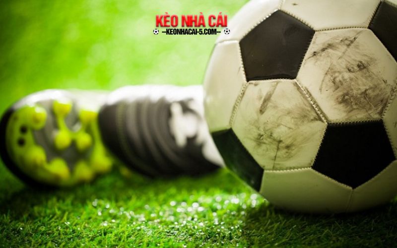 Trang Cá Độ Bóng Đá, Cá Cược Bóng Đá Nổi Bật 2024 1 Tổng quan về trang web uy tín hàng đầu