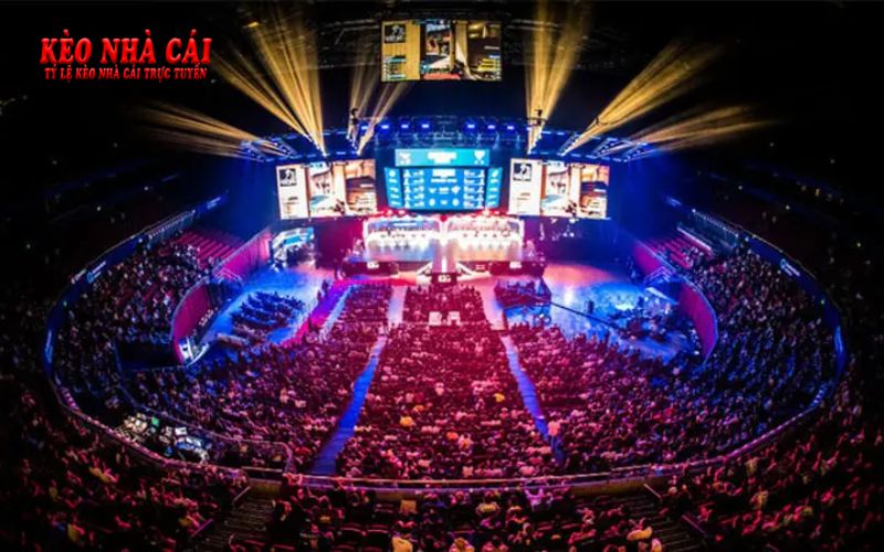 Ca-Do-Esport.Bet - Nhà Cái Esport Với Tỷ Lệ Thưởng Cao Top Đầu 2 Lý do anh em bet thủ nên tham gia chơi tại nhà cái Esport?