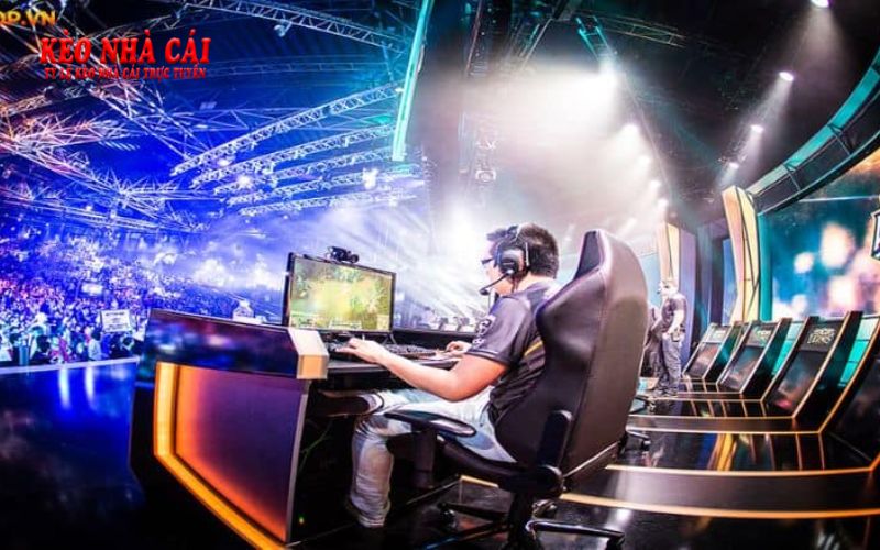 Ca-Do-Esport.Bet - Nhà Cái Esport Với Tỷ Lệ Thưởng Cao Top Đầu 1 Một số thông tin cơ bản về nhà cái trực tuyến Esport
