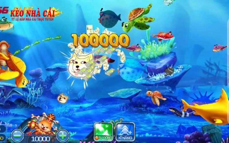 Banca.Tv - Cổng Game Bắn Cá Đổi Thưởng Uy Tín Số 1 3 Hướng dẫn truy cập và tham gia chơi bắn cá đơn giản