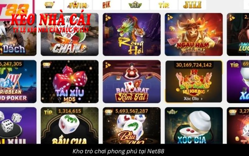 Net88 – Cơ Hội Chiến Thắng Mở Rộng Với Các Trò Chơi Hấp Dẫn 10 Kho trò chơi đa dạng bùng nổ trên net88