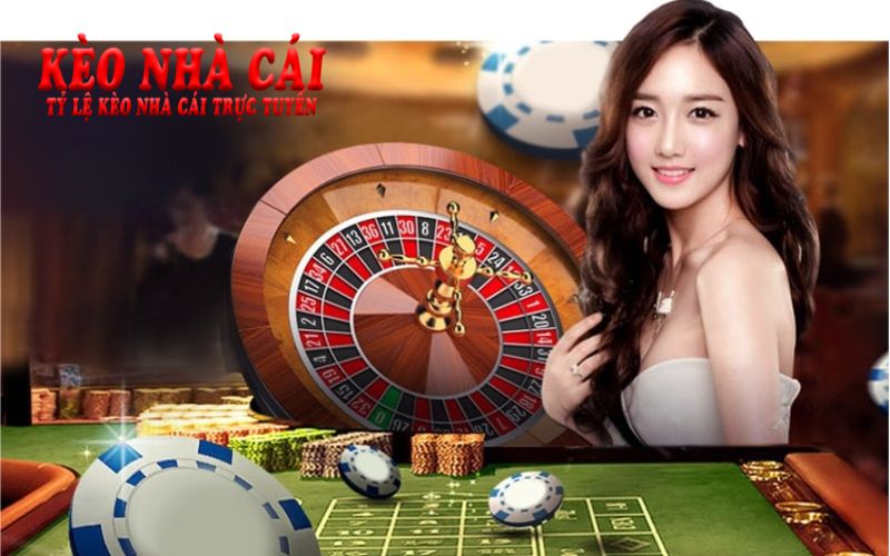Lượng cược thủ truy cập mỗi ngày siêu khủng tại Vsbet