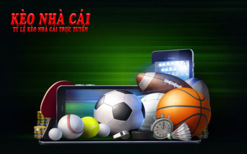 Vsthethao cập nhật tin tức thể thao phong phú từ A đến Z