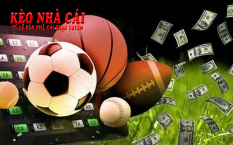 Mẹo Nhân Đôi Thưởng Từ Nhà Cái Tặng Tiền Cá Cược Thể Thao 2 Cách sử dụng tiền thưởng hiệu quả từ nhà cái tặng tiền cá cược thể thao